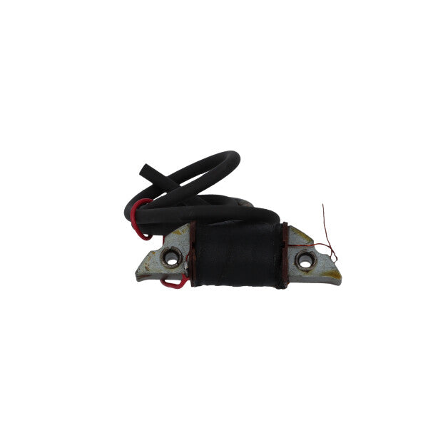 BOBINA INTERNA AT CICLOMOTORI IMPIANTO DANSI