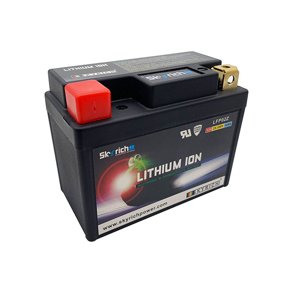 BATTERIA SKYRICH LITIO LFP02Z 12.8V-2.4AH