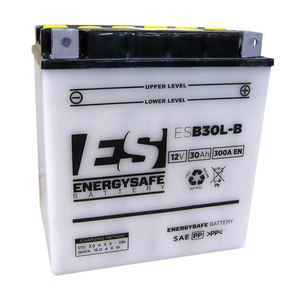 BATTERIA ENERGYSAFE ESB30L-B 12V-30AH 12V-30HA