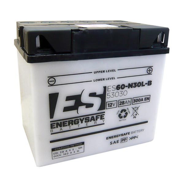 BATTERIA ENERGYSAFE ES53030 12V-30AH BMW