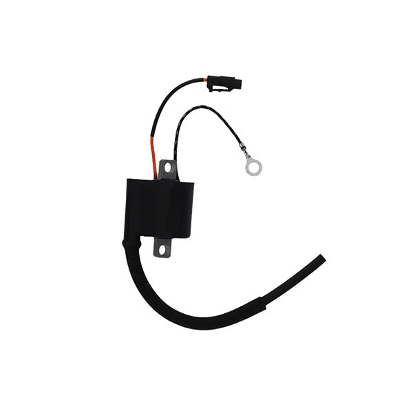 BOBINA AT ESTERNA KAWASAKI 250 KX-F 13/21