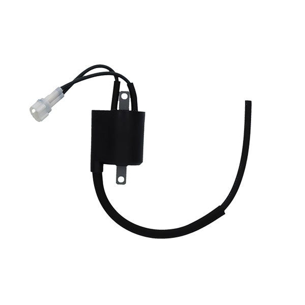 BOBINA AT ESTERNA YAMAHA WR 450 F 12/14