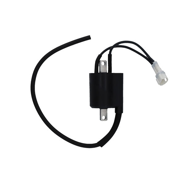 BOBINA AT ESTERNA YAMAHA YZ 450 F 10/13