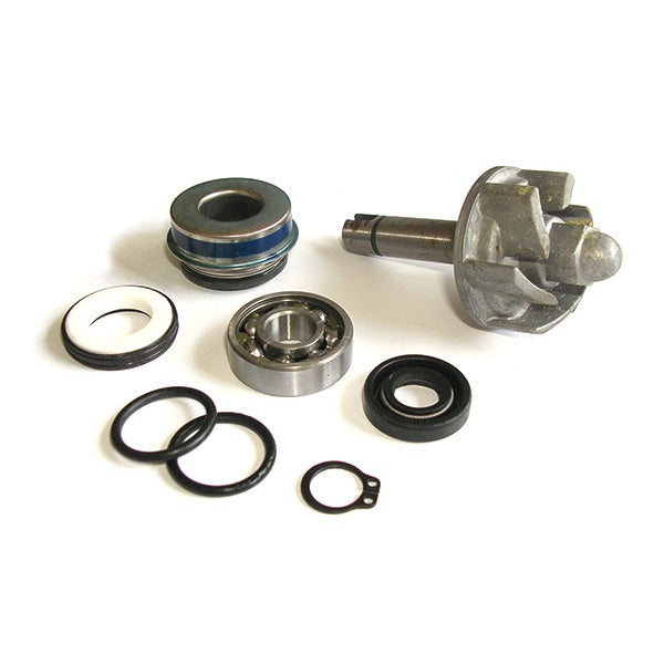 KIT RIPARAZIONE POMPA ACQUA  APRILIA 250 LEONARDO