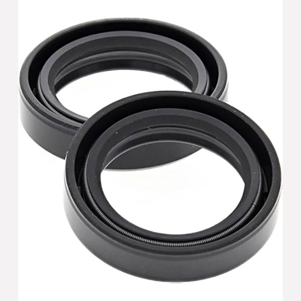 KIT PARAOLIO FORCELLA (RIF. ALL-BALLS 55-147)