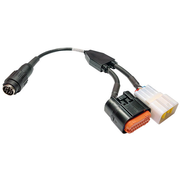 BF010622 CAVO SLAVE FANTIC MOTOR CROSS 18 PIN / 8 PIN