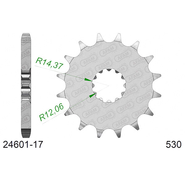 PIGNONE AFAM IN ACCIAIO P530 - Z17 (DIS.24601)