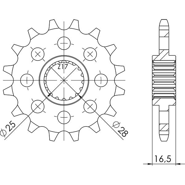 PIGNONE P525 - Z16 (DIS.73400)