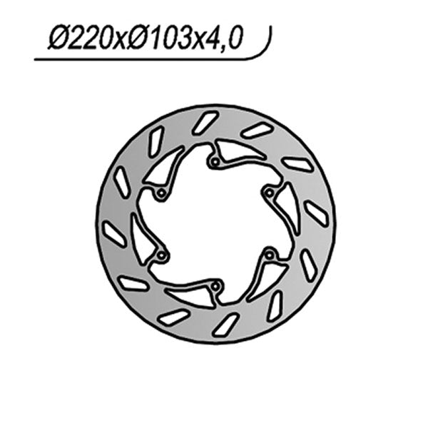 DISCO FRENO NG BMW G X-SMR 450