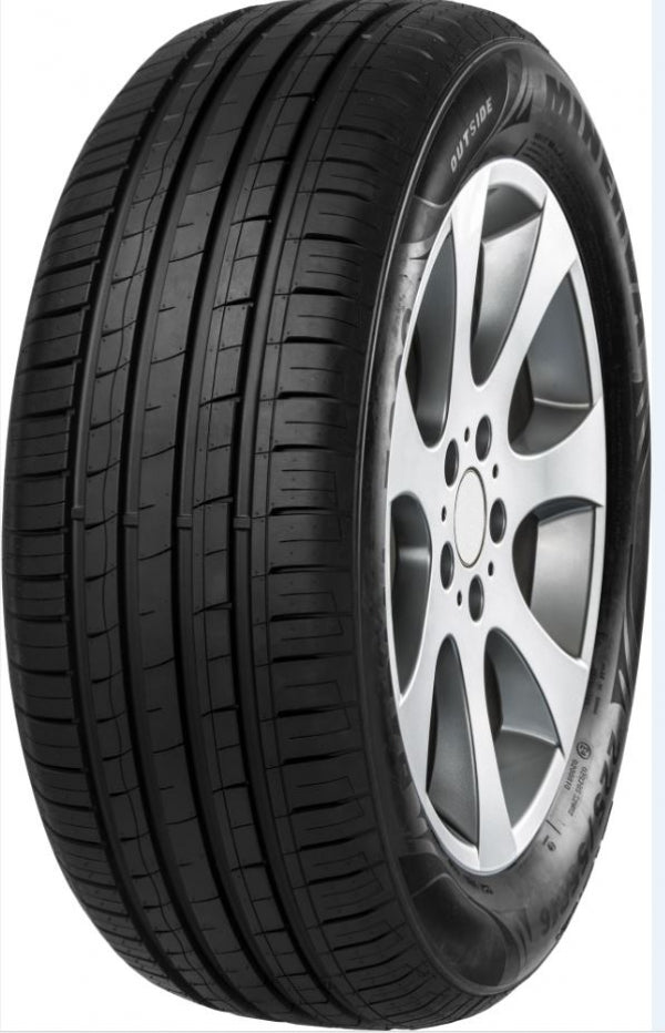 MINERVA 205/55 R16 91W F209