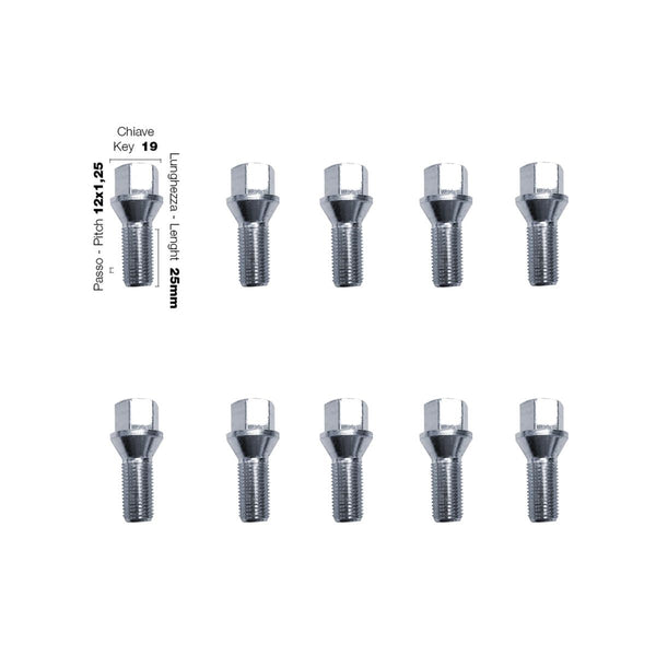10 bulloni ch.19 12x1.25 l.25mm