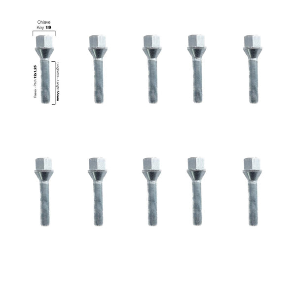 10 bulloni ch.19 12x1.25 l.55mm