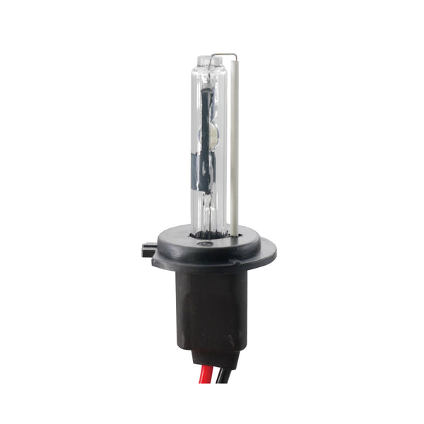 H7R Lampadina Xenon 8000°K