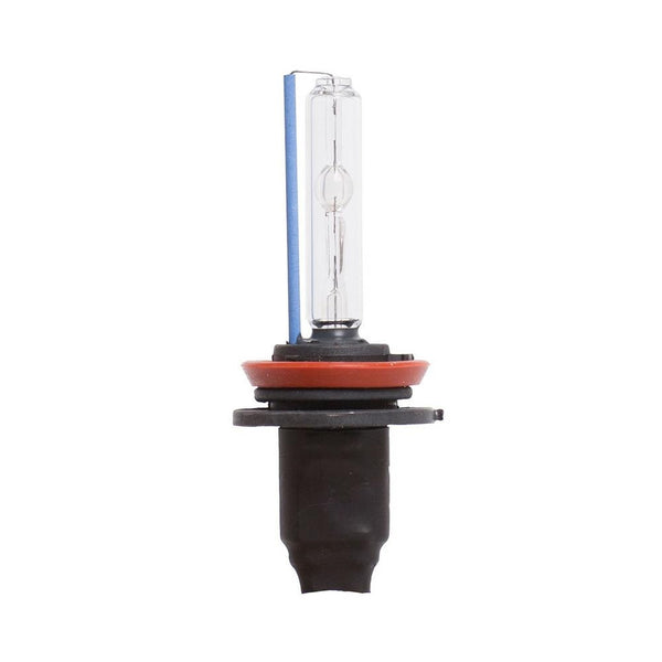 H11 lampadina Xenon 6000°K