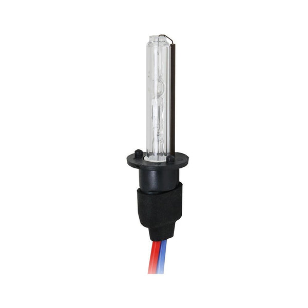H1 Lampadina Xenon 5000°K