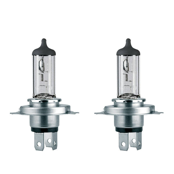 H4 Super Silver alogena Outlet