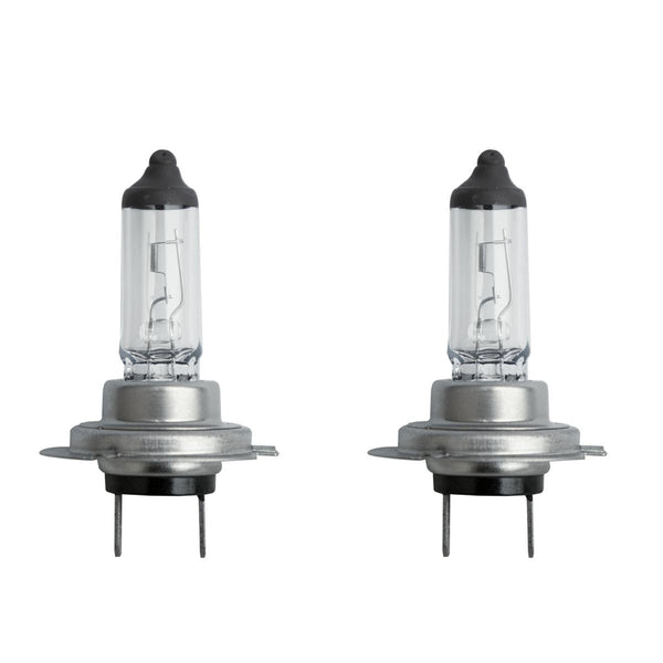 H7 Super Silver alogena Outlet